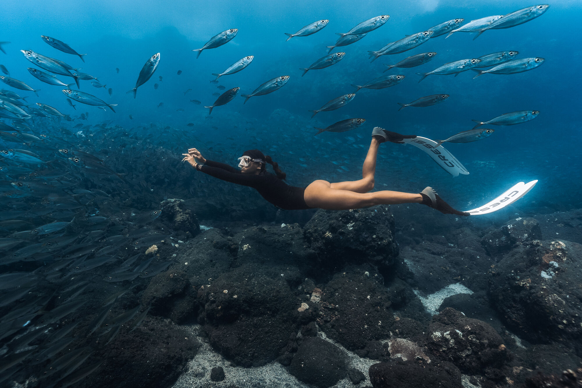 1773143501203-g48x82